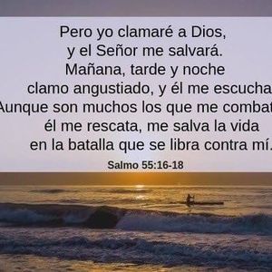 Meet your Posher, Lissette